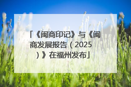 《闽商印记》与《闽商发展报告（2025）》在福州发布