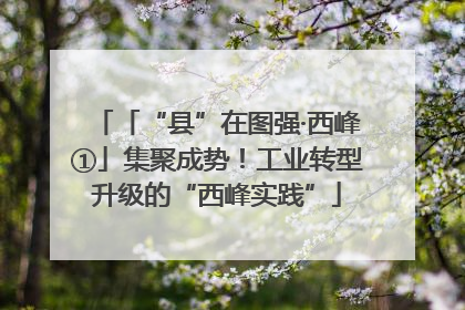 「“县”在图强·西峰①」集聚成势！工业转型升级的“西峰实践”