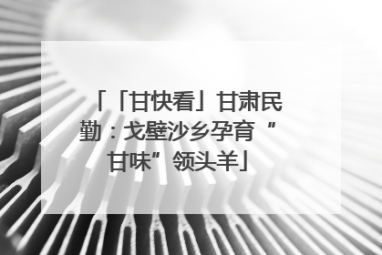「甘快看」甘肃民勤：戈壁沙乡孕育“甘味”领头羊