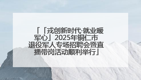「戎创新时代·就业暖军心」2025年铜仁市退役军人专场招聘会暨直播带岗活动顺利举行