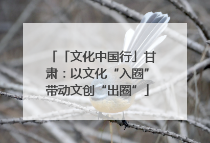 「文化中国行」甘肃：以文化“入圈”带动文创“出圈”