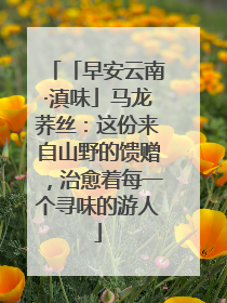 「早安云南·滇味」马龙荞丝：这份来自山野的馈赠，治愈着每一个寻味的游人