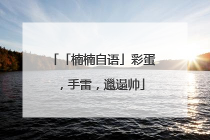 「楠楠自语」彩蛋，手雷，邋遢帅