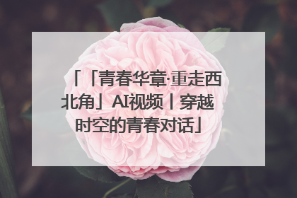 「青春华章·重走西北角」AI视频丨穿越时空的青春对话