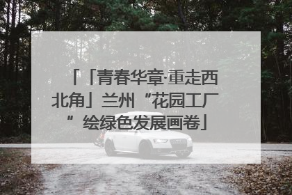 「青春华章·重走西北角」兰州“花园工厂”绘绿色发展画卷