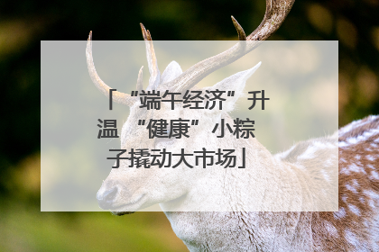 “端午经济”升温 “健康”小粽子撬动大市场