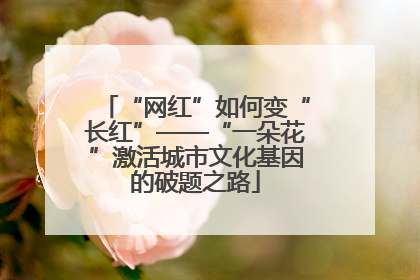 “网红”如何变“长红”——“一朵花”激活城市文化基因的破题之路
