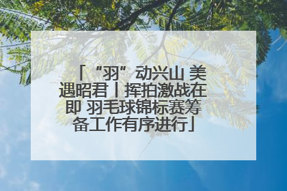 “羽”动兴山 美遇昭君丨挥拍激战在即 羽毛球锦标赛筹备工作有序进行