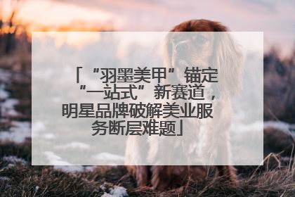 “羽墨美甲”锚定“一站式”新赛道，明星品牌破解美业服务断层难题