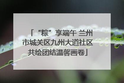 “粽”享端午 兰州市城关区九州大道社区共绘团结温馨画卷