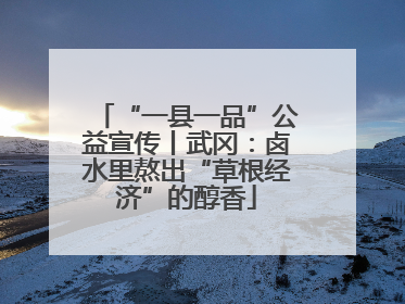 “一县一品”公益宣传丨武冈：卤水里熬出“草根经济”的醇香