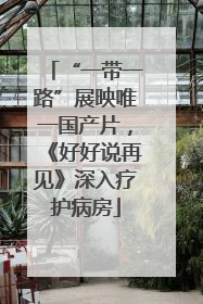 “一带一路”展映唯一国产片，《好好说再见》深入疗护病房