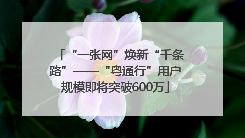 “一张网”焕新“千条路”——“粤通行”用户规模即将突破600万