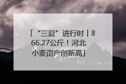 “三夏”进行时丨866.27公斤！河北小麦亩产创新高