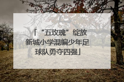 “五玫瑰”绽放 新城小学混编少年足球队勇夺四强