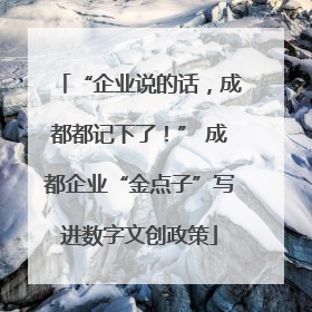“企业说的话，成都都记下了！” 成都企业“金点子”写进数字文创政策