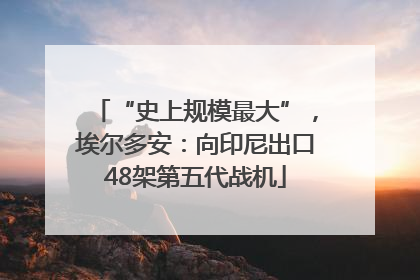 “史上规模最大”，埃尔多安：向印尼出口48架第五代战机