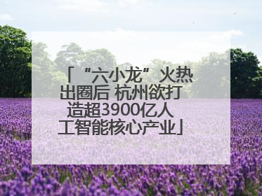 “六小龙”火热出圈后 杭州欲打造超3900亿人工智能核心产业
