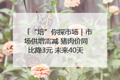 “培”你探市场｜市场供增需减 猪肉价同比降3元 未来40天便宜猪肉敞开吃