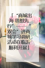 “商城出海 思想先行”——“双会”进商城学习调研活动在临沂顺利开展