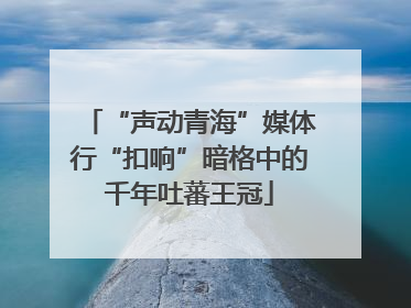 “声动青海”媒体行“扣响”暗格中的千年吐蕃王冠