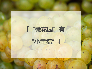 “微花园”有“小幸福”