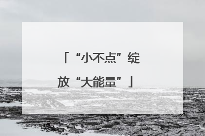 “小不点”绽放“大能量”