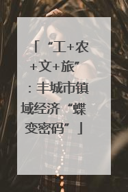 “工+农+文+旅”：丰城市镇域经济“蝶变密码”