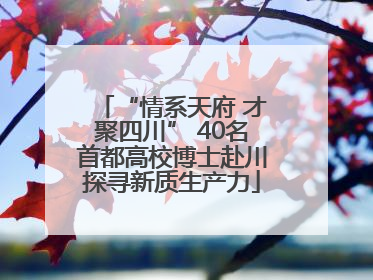 “情系天府 才聚四川” 40名首都高校博士赴川探寻新质生产力
