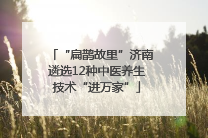“扁鹊故里”济南遴选12种中医养生技术“进万家”