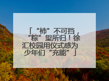 “柿”不可挡，“粽”望所归！徐汇校园用仪式感为少年们“充能”
