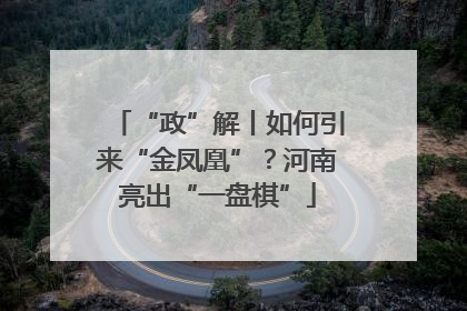 “政”解丨如何引来“金凤凰”？河南亮出“一盘棋”