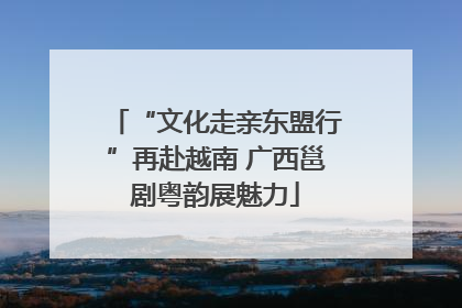 “文化走亲东盟行”再赴越南 广西邕剧粤韵展魅力
