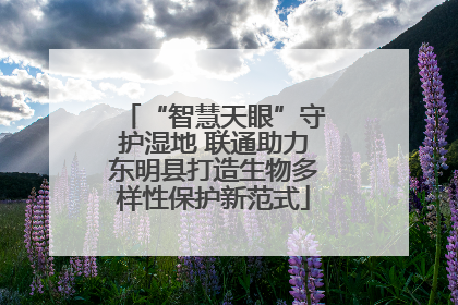 “智慧天眼”守护湿地 联通助力东明县打造生物多样性保护新范式