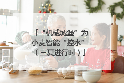 “机械城堡”为小麦智能“控水”（三夏进行时）
