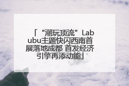 “潮玩顶流”Labubu主题快闪西南首展落地成都 首发经济引擎再添动能
