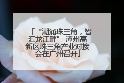 “潮涌珠三角，智汇龙江畔” 漳州高新区珠三角产业对接会在广州召开