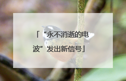 “永不消逝的电波”发出新信号