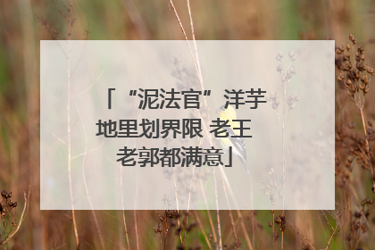 “泥法官”洋芋地里划界限 老王老郭都满意