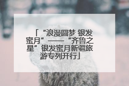 “浪漫圆梦 银发蜜月”——“齐鲁之星”银发蜜月新疆旅游专列开行