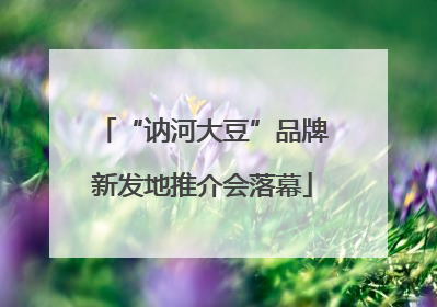 “讷河大豆”品牌新发地推介会落幕