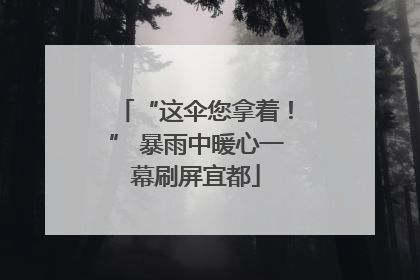 “这伞您拿着！” 暴雨中暖心一幕刷屏宜都