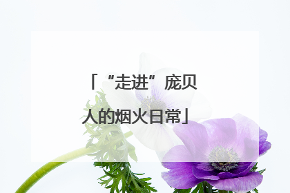 “走进”庞贝人的烟火日常
