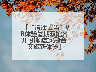“逍遥武当”VR体验暑期双馆齐开 引领虚实融合文旅新体验
