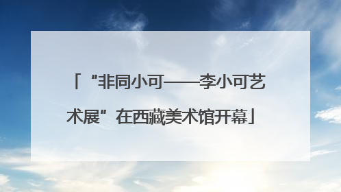“非同小可——李小可艺术展”在西藏美术馆开幕
