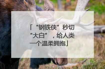 “钢铁侠”秒切“大白”，给人类一个温柔拥抱