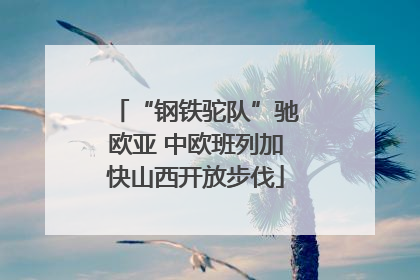 “钢铁驼队”驰欧亚 中欧班列加快山西开放步伐