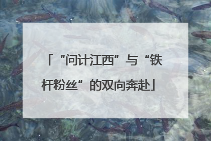 “问计江西”与“铁杆粉丝”的双向奔赴