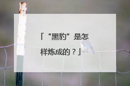 “黑豹”是怎样炼成的？