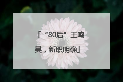 “80后”王鸣昊，新职明确